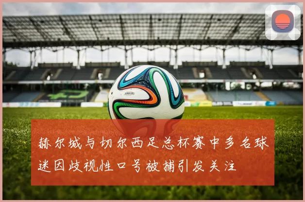 赫尔城与切尔西足总杯赛中多名球迷因歧视性口号被捕引发关注